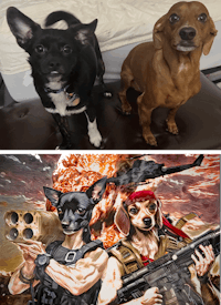 two pictures of a dog with a gun and a dachshund